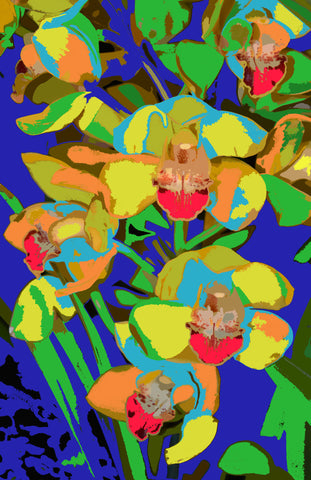Orchids 683